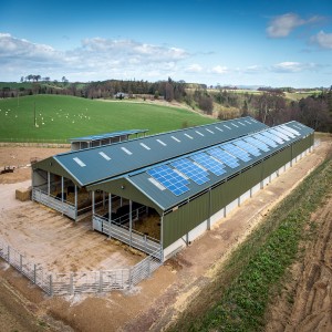 Prefabricated Steel Structure Poultry House Chicken Farm Shed