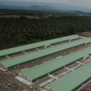 Steel Structure Prefab Poultry House Poutry Farming