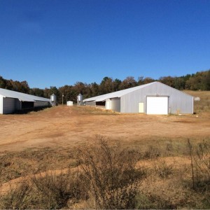 Poultry Shed Chicken Farm Building House