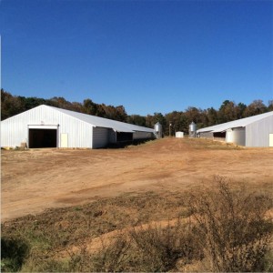 OEM/ODM Factory China Poultry Farm House for Chickens