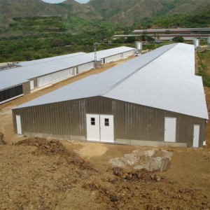 OEM/ODM Factory China Poultry Farm House for Chickens