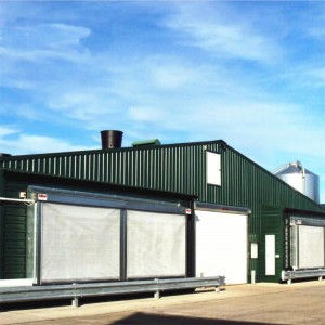 Prefab Steel Structure Broiler Poultry Shed Design