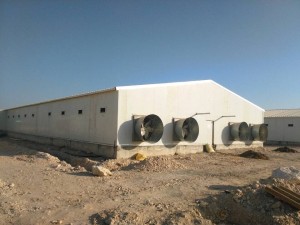 Poultry Shed Farm building prefabricated housing steel structure Chicken House